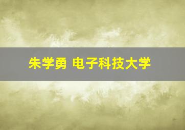 朱学勇 电子科技大学